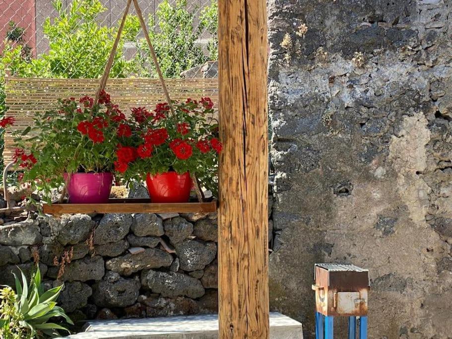 Casaammari Villa Acireale Bagian luar foto